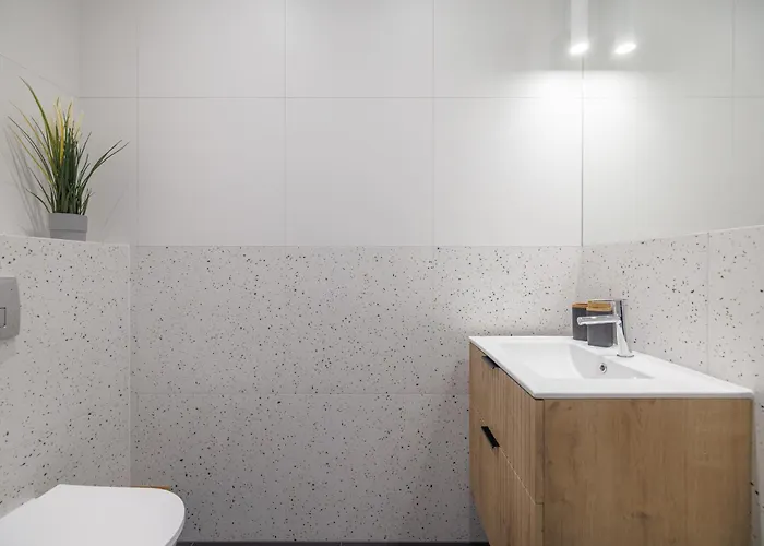 Ina Rent Zatoka Bursztynowa Gdańsk